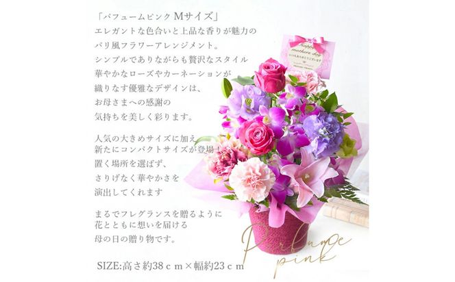 【母の日】パフュームピンクMサイズ＜お届け日：2026年5/8～5/10 当店おまかせ ＞母の日カード付き【 母の日 ギフト アレンジ 花 贈り物 大阪府 門真市 】 272230_BG113