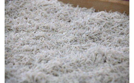 しらす屋のしらす干し 1ｋｇ×12個 12ｋｇ H006-097