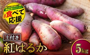 土付き さつまいも 「紅はるか」 5㎏ いも 芋 サツマイモ 焼き芋 スイーツ 栄養 レシピ 煮物 天ぷら 甘煮 おかず 蒸し芋 甘い 保存方法 成分 美容効果 収穫時期 品種 福島県 田村市 ひまわり農園 N038-001