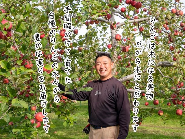 りんご 青森 サンふじ 王林 約 5kg (12～18玉) リンゴ 詰め合わせ セット 青森県 鰺ヶ沢町産 木村りんご園 フルーツ 果物 果物類 白神山地 林檎