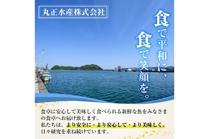 ＜訳あり＞国産特大あじの開き(計6枚) ひもの 魚 さかな 鯵 アジ おかず 肴 おつまみ 簡単 時短 おかず お弁当 国産 冷凍【丸正水産】【AW-38】
