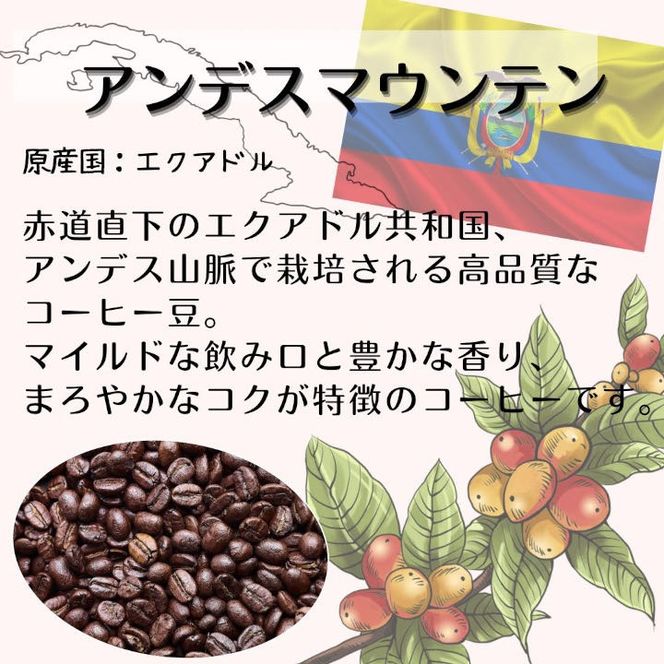 自家焙煎 プレミアム珈琲豆 3種セット（挽き）