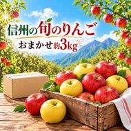 信州の旬のりんごおまかせ 約3キロ（りんご・リンゴ・林檎）| りんご おまかせ 先行受付 予約 長野県 長野県産 信州産 長野県 伊那市 信州のりんご 信州 長野 伊那市産 上伊那 甘い みずみずしい シャキシャキ 約3kg 家庭用 りんご リンゴ 林檎 産地直送 フルーツ 果物 デザート おやつ【012-90】