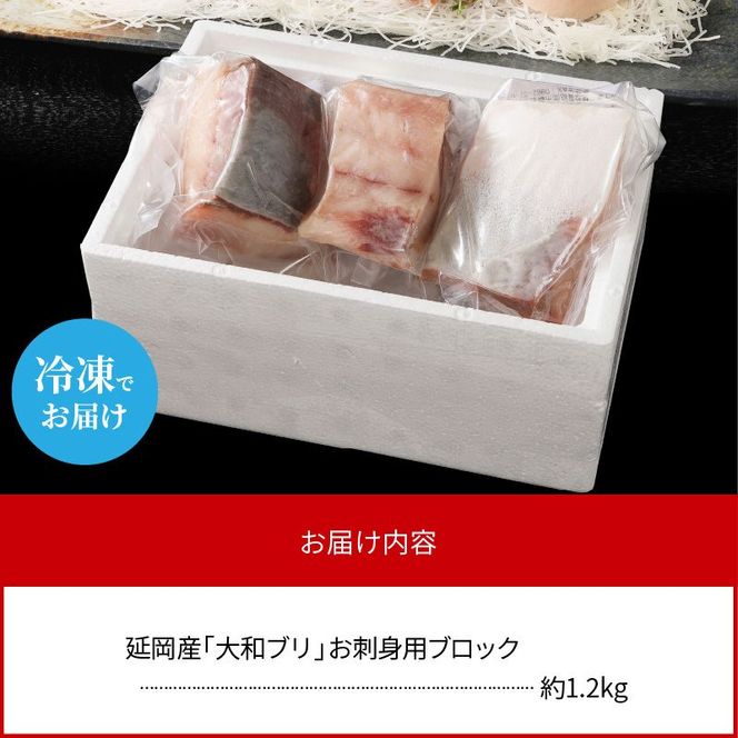 【大和海商】大和ブリの切り身たっぷりセット 約1.2kg N072-YA945