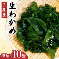 小分け わかめ 三陸産 選べる 10袋 800g (ひと袋 80g) 湯通し塩蔵わかめ ワカメ wakame 若芽 おさしみわかめ 刺身 刺し身 さしみ おさしみ 海藻 国産 味噌汁 みそ汁 スープ 酢の物 料理 ギフト 産地直送 贈答 プレゼント 海産物 岩手 大船渡 送料無料 [kakehata013]