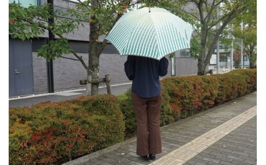 雨長傘　富士と水（緑）