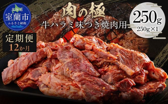 【12か月定期便】牛ハラミ味つき焼肉用 250g (250g×1)  MROBM038