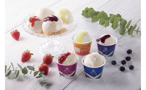 548.お歳暮　のし付【短冊のし　名入れ不可】アイスクリームとシャーベット8個（みるく畑8個入）※離島への配送不可 313726_AH010VC02