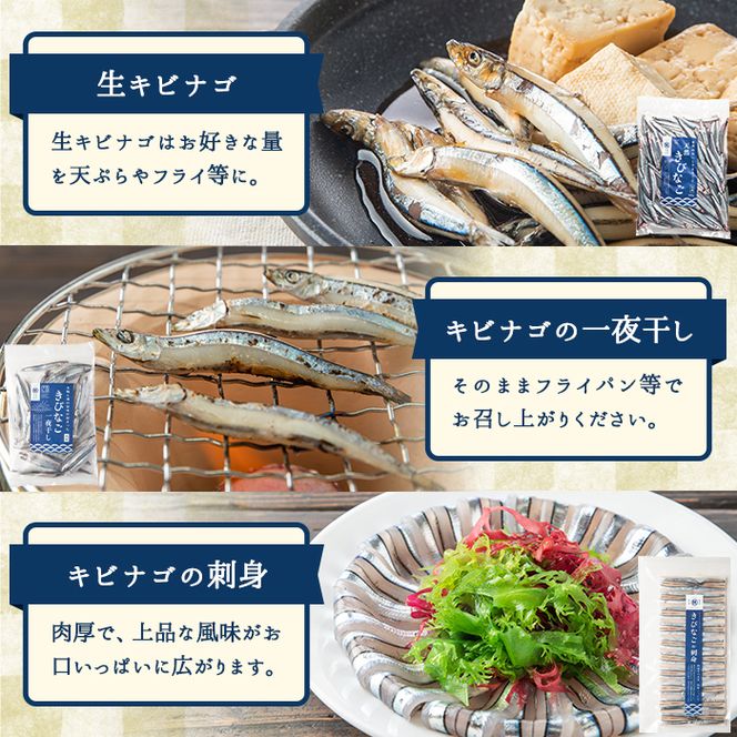 鹿児島県産！あくねキビナゴづくし(3種)生きびなご、一夜干し、刺身をセットに冷凍でお届け！魚介類 海鮮 海の幸 きびなご キビナゴ 刺し身 さしみ 一夜干し【マルホせいうん水産】akn046-03