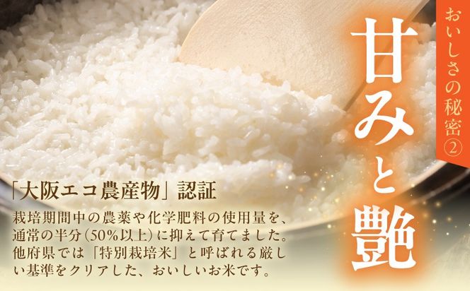 G5607-1 令和8年産 泉佐野産 にじのきらめき 5kg