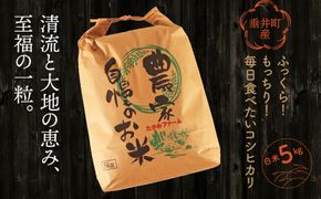BY-1a 【垂井町産】ふっくら！もっちり！毎日食べたいコシヒカリ 白米 5kg