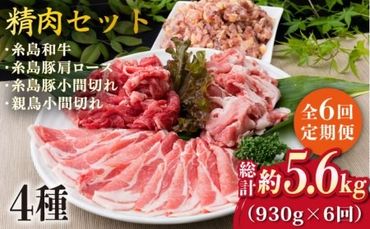 【全6回定期便】牛肉 豚肉 鶏肉 日常使いの精肉セット 930g 2～3人前 4種《糸島》【糸島ミートデリ工房】 [ACA194]