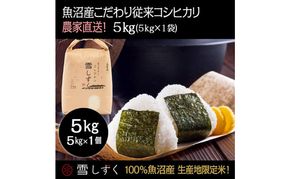 令和7年産！魚沼産こだわり従来コシヒカリ【農家直送!】5kg×1袋 お米 米 コメ 