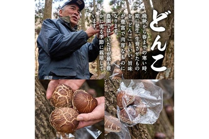 原木栽培の中玉生しいたけ（1kg）九州産 大分県産 国産 しいたけ 椎茸 生椎茸 生シイタケ 生しいたけ 生しいたけ 生シイタケ 原木しいたけ 佐伯市【FR04】【かやの椎茸屋】