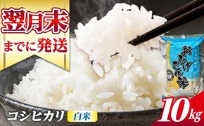 コシヒカリ 白米 10kg / 脇野コンバイン[AECP022-11]