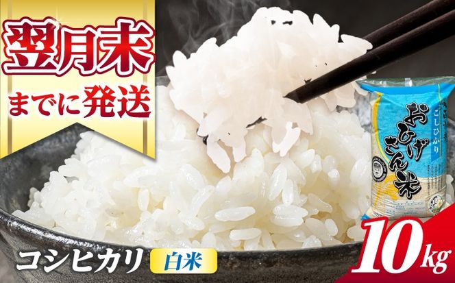 コシヒカリ 白米 10kg / 脇野コンバイン[AECP022-11]