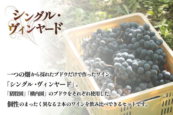 定期便 ワイン セット 穂坂マスカット・ベーリーＡ シングル・ヴィンヤード 750ml×2種×12回 酒 ワイン 赤ワイン / シャトー・メルシャン 勝沼ワイナリー / 山梨県 韮崎市 [20743314]