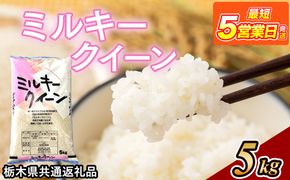米 ミルキークイーン 5kg 栃木県産【栃木県共通返礼品】