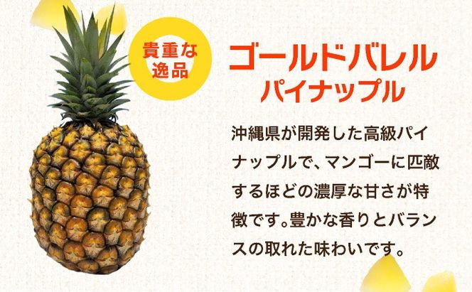 訳アリ 業務用冷凍カットパイナップル500g×3点セット PU-02