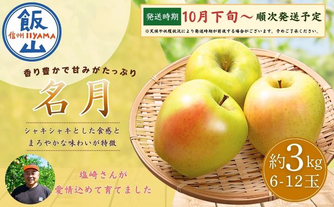 【先行予約│2026年10月下旬より順次発送】名月（めいげつ）【約3kg(6〜12玉)】(At-038)
