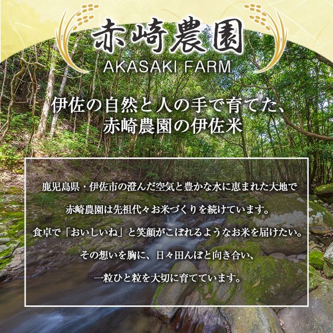 isa1114 ＜先行予約受付中！2026年11月中旬以降順次発送＞令和8年産 新米 鹿児島県産あきの舞(10kg) 国産 鹿児島県 米 お米 新米 白米 伊佐米 【赤崎農園】