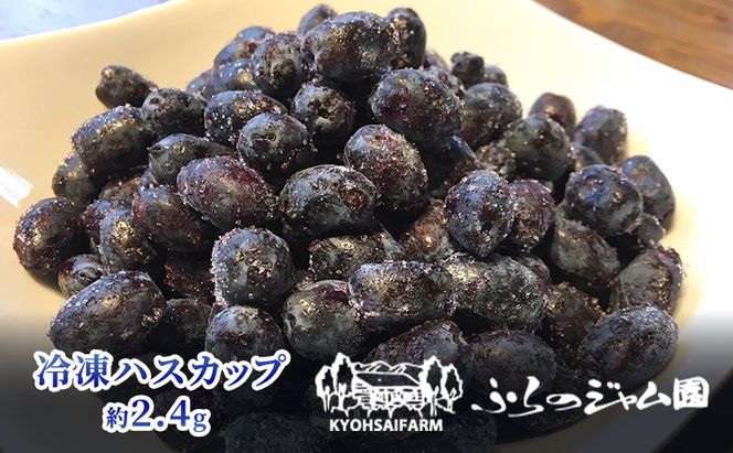 ◆ふらのジャム園◆ 冷凍 ハスカップ 8袋セット ( 果物 フルーツ 冷凍食品 新鮮 産地直送 北海道 道産 富良野 )