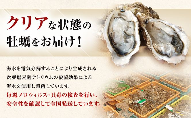 4月発送【他月は別ページ】訳あり 牡蠣 北海道厚岸産 殻付カキ 約4kg (25から50個) カキナイフ付 生食 生牡蠣 貝付き牡蠣 貝 海鮮 魚介類 殻付き牡蠣 マルえもん