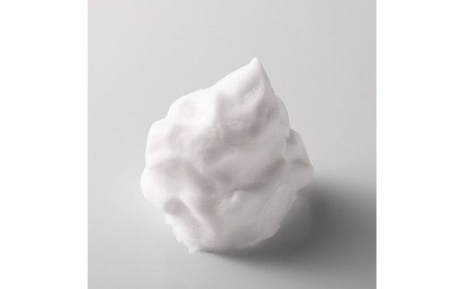 セルグレース W クレンジング フォーム / 保湿 洗顔料 メイク落とし 植物成分 化粧品 高級 ナリス