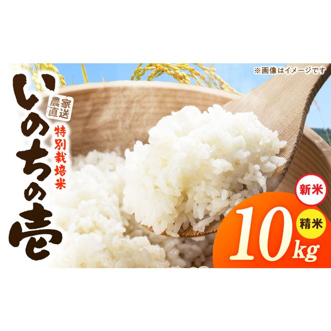 【R8年産新米 先行受付】特別栽培米「いのちの壱」（10kg）＜農家直送＞ ［208K02］ 希少米 10kg 米 新米 精米 白米 ご飯 国産 産地直送 甘い 粘り強い もちもち お取り寄せ こだわり米 愛知県 小牧市 送料無料
