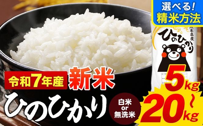 無洗米 も選べる ひのひかり 5kg 10kg 15kg 20kg 新米 令和7年産  《7-14日以内に出荷予定(土日祝除く)》 熊本県産 ふるさと納税 無洗米 白米 精米 ひの 米 こめ ふるさとのうぜい ヒノヒカリ コメ お米 おこめ---mifune_lcl_974_5kg---