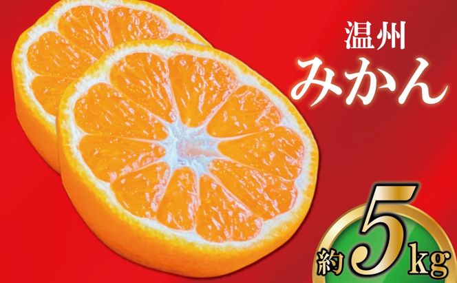 みかん 香川 極撰 温州みかん 約 5kg フルーツ 果物 柑橘 柑橘類 デザート おやつ 旬 産地直送 冬の味覚 旬の果物 旬のフルーツ お取り寄せ 取り寄せ 送料無料 温州ミカン ミカン 蜜柑