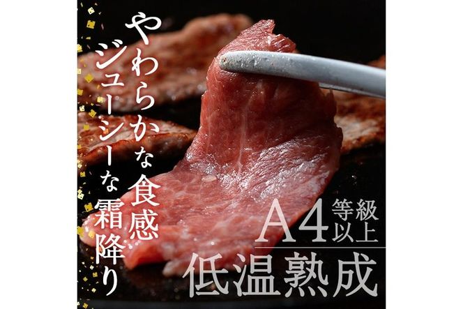 おおいた和牛 赤身 焼肉 (300g) 国産 牛肉 肉 霜降り 低温熟成 肩 モモ A4 和牛 ブランド牛 BBQ 冷凍 大分県 佐伯市【DH240】【(株)ネクサ】