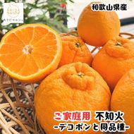 【先行予約】有田育ちの濃厚 不知火 ( デコポン と同品種)( 訳あり 家庭用 )  1kg+200g(痛み補償分)【ard208A】
