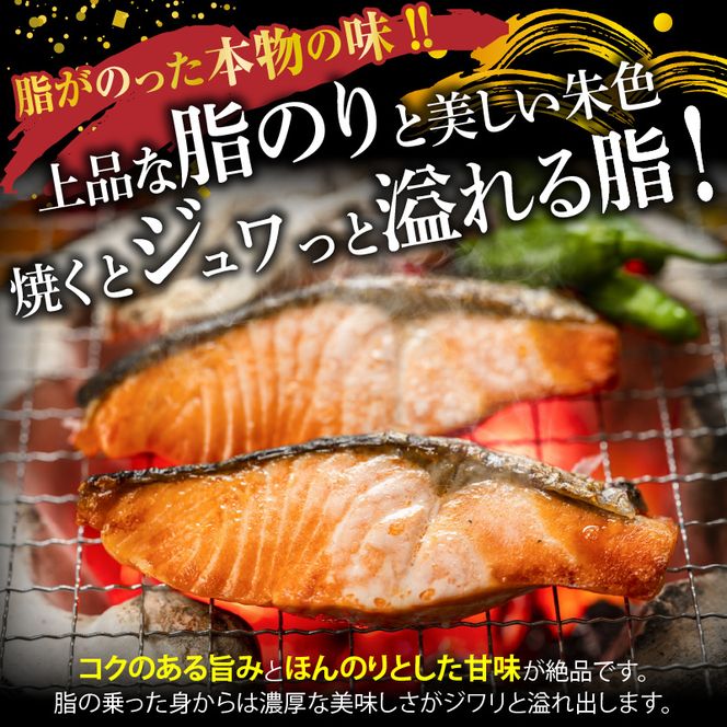 魚鶴自慢の人気のお魚全12回定期便_G60-T88