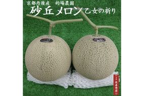 【先行予約】京都丹後久美浜産　砂丘メロン【オトメの祈り】　2Lサイズ／2玉入（2026年中旬～発送）　LP00004