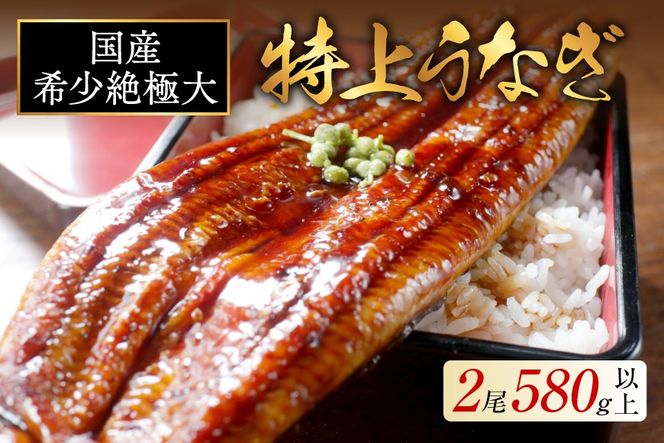 国産 希少 超極大 特上うなぎ(290g×2尾)【OT000O290】