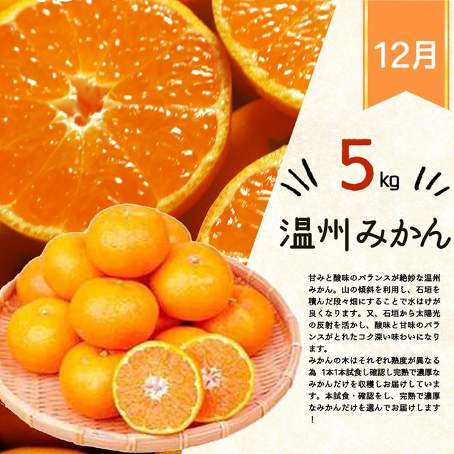 〈定期便〉【8・10・12月 全3回】紀州和歌山産旬のフルーツセット(桃・柿・みかん)