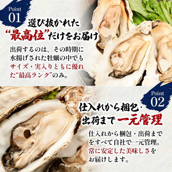 【お中元】北海道 厚岸産 ブランド牡蠣 マルえもん 殻付き 牡蠣 LLサイズ 14個 【光輝】 [ 魚貝類 生牡蠣 海鮮 海の幸 生食用牡蠣 生食用 生食用殻付き牡蠣 濃厚 甘み  オイスター ]  