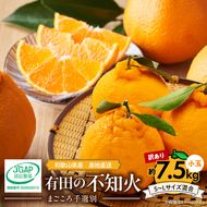 ZE6108n_有田の不知火(しらぬひ) 【訳あり　家庭用】7.5kg 小玉（ S～Lサイズ混合）まごころ手選別