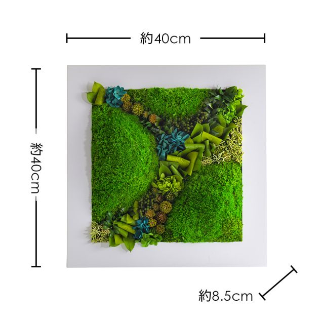 グリーンフレーム２L 花 お花 プリザーブドフラワー ギフト プレゼント お祝い 誕生日 お供え アレンジ インテリア 東京都 墨田区