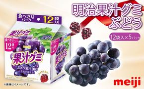 明治 果汁グミ スマートパック ぶどう 163ｇ × 5個 ブドウ 葡萄 グミ お菓子 おやつ フルーツ 果物 果汁 詰め合わせ 詰合せ セット まとめ買い 静岡県 藤枝市