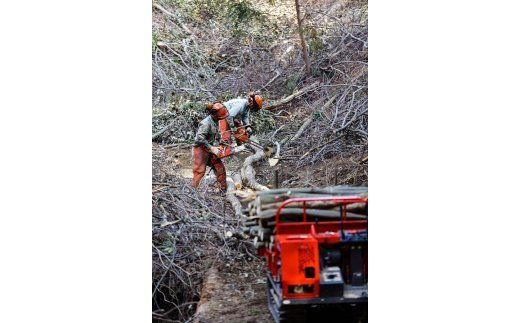 薪 20kg 10箱 セット 森のちから 五名の薪 燃料 アウトドア アウトドア用品 キャンプ キャンプ用品 BBQ 薪ストーブ 焚き火 コナラ クヌギ カシ 香川 香川県 東かがわ市 (配送不可:北海道・沖縄県・離島地域)