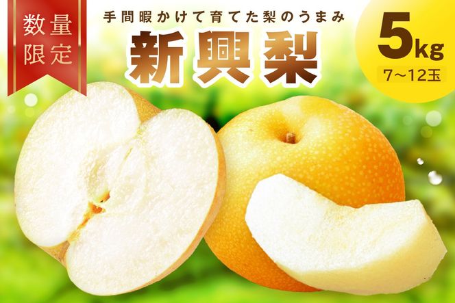 ys{Oszys\^ʌ100zV@5kgi2026N10{`j@Y Ȃ iV  2025t[c ӂ[ ʕ  _Ɖ Y҉ FK00024