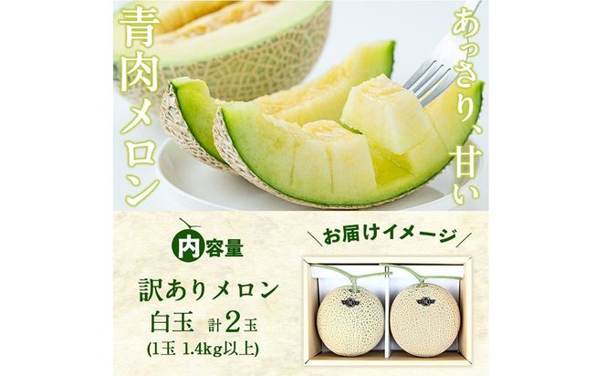 【春限定・数量限定】牧さんの訳ありメロン 白玉(青肉)計2玉 b0-106-s
