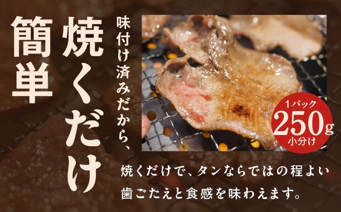 015B649 牛タン 2kg（250g×8P）【薄切り 特製玉ねぎ塩ダレ 牛たん 牛肉 焼肉用 訳あり サイズ不揃い 小分け】