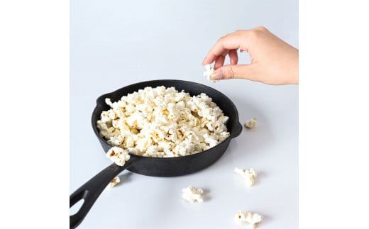 【CF-R7hbk】マックのポップコーン11袋セット（80g×11袋）塩味 しお味 とうもろこし コーン お菓子 おかし スナック菓子 おやつ おつまみ 映画 食品 美味しい おいしい お取り寄せ