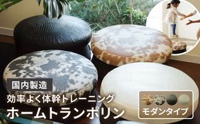 ホームトランポリン モダンタイプ 糸島市 / 未来航路 クッション インテリア [AAB010] トランポリン トレーニング エクササイズ 健康器具 運動器具 遊具 ダイエット