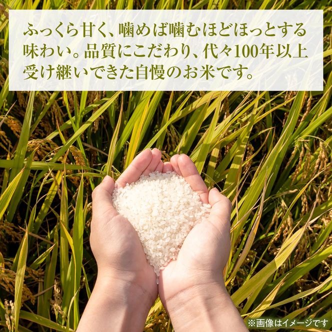コシヒカリ 令和8年産 5kg 〈2026年9月1日～発送〉5キロ 精米 白米 お米 ご飯 ごはん 米 こめ こしひかり 高知県産 国産 お取り寄せ 常温 高知 土佐市 ふるさと納税【三宮 君生】[BQCE001]