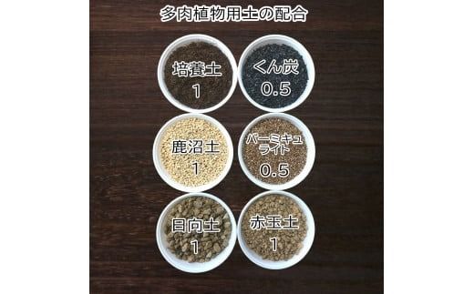 E102 培養土　【植え替え土セット】　多肉植物の土