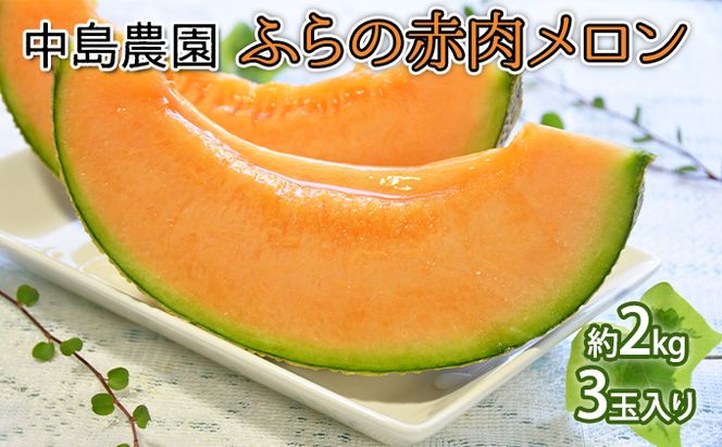 【2026年7月～発送】北海道 富良野市 ふらの赤肉 メロン 3玉 計 約6kg (中島農園) メロン フルーツ 果物 新鮮 甘い 贈り物 ギフト 道産 ジューシー おやつ ふらの ブランド 夏 